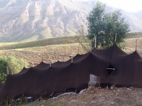 تبلور هنر هنرمندان محیطی در سیاه‌چادرها