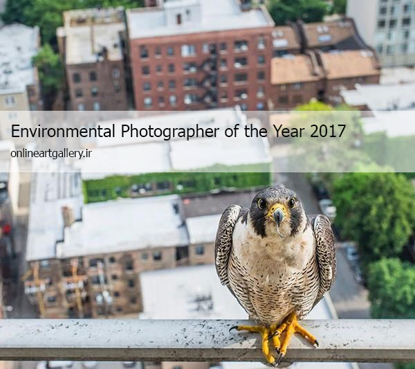 فراخوان عکاسی محیط زیست 2017