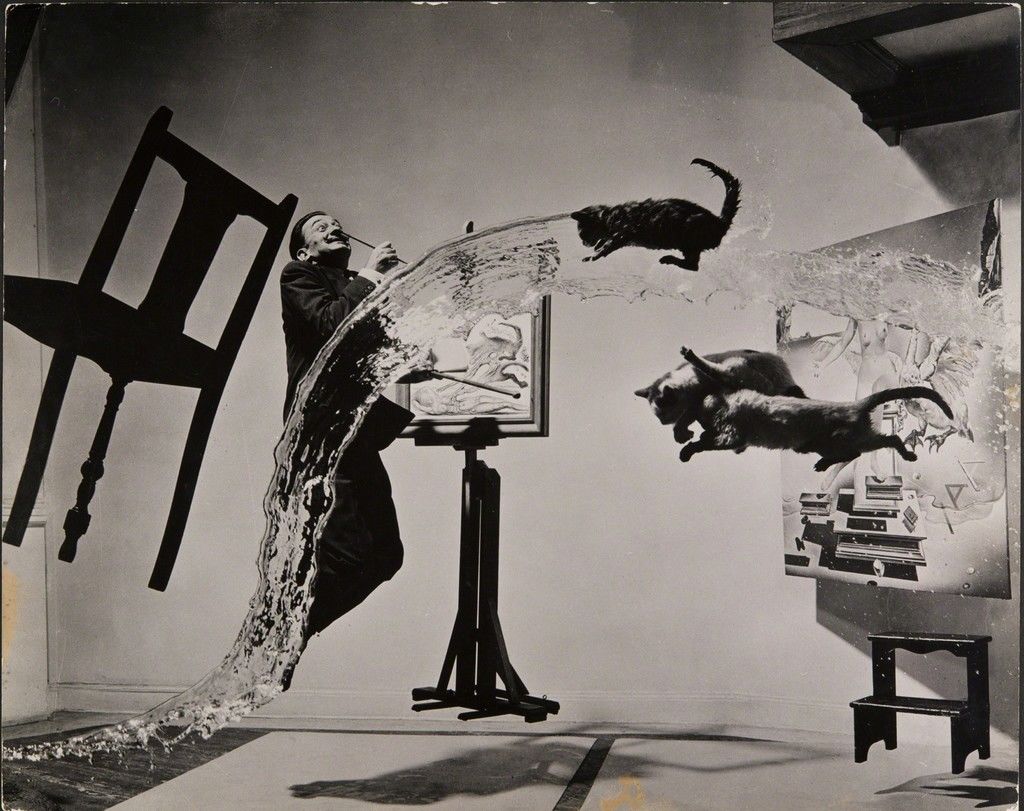 ماجرای عکس سوررئال Salvador Dalí و سه گربهی پرنده