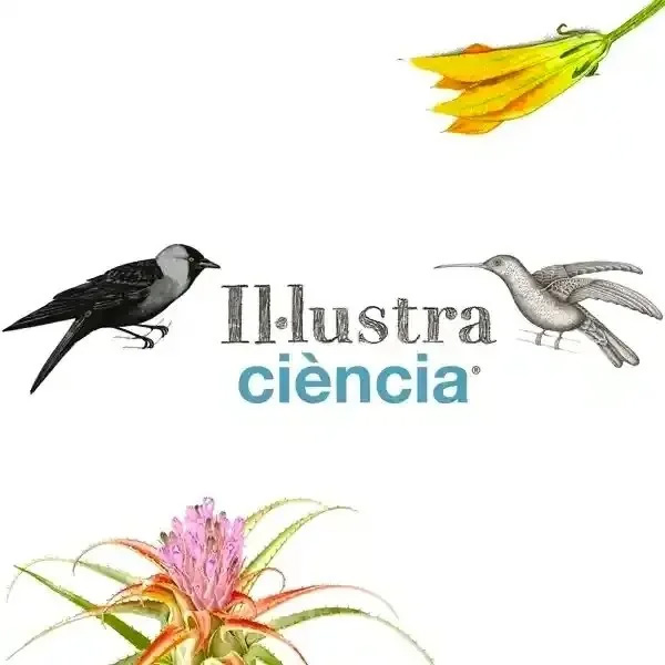 Illustraciència 2024 International Illustration Award