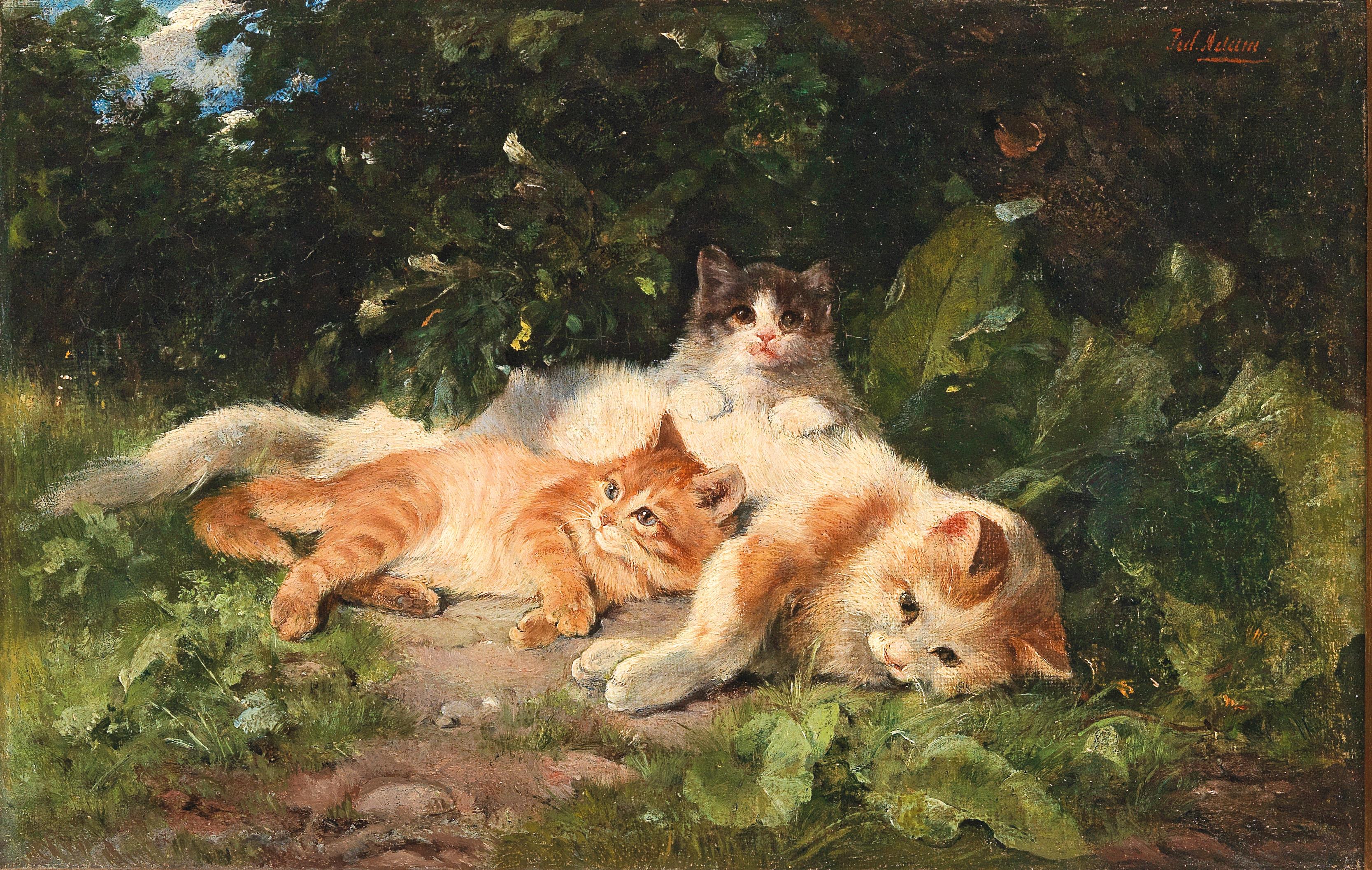 نگاهی به آثار "Cats Adam"