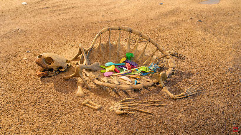 a stop motion fish made of plastic forks + spoons devastates marine life one frame at a time