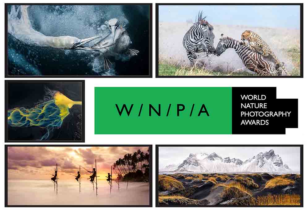 فراخوان جوایز جهانی عکاسی طبیعت